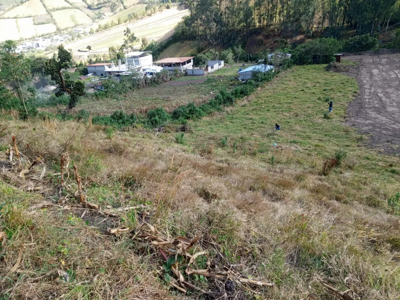 Vista general de la lotización