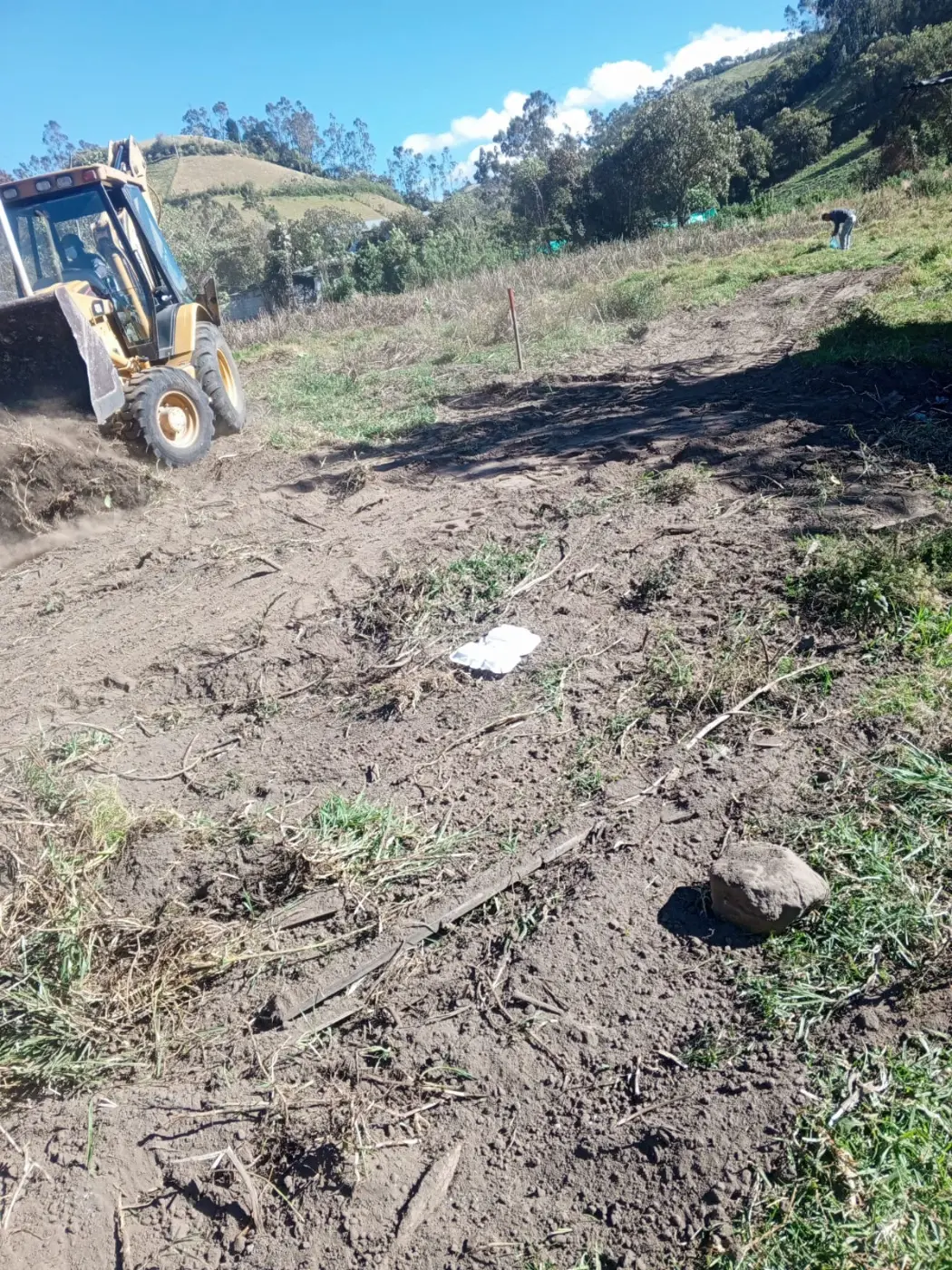 Terreno en preparación