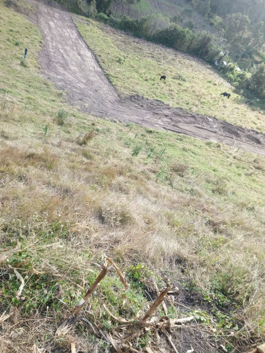 Vía de acceso al terreno